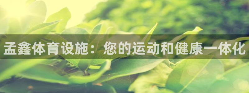 意昂体育3娱乐：孟鑫体育设施：您的运动和健康一体化