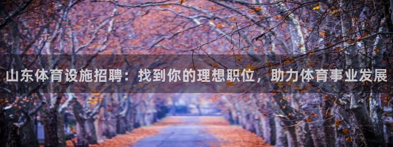 注册意昂3：山东体育设施招聘：找到你的理想职位，助力