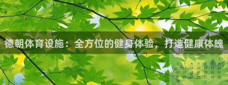 意昂3集团E.ON：德朝体育设施：全方位的健身体验，