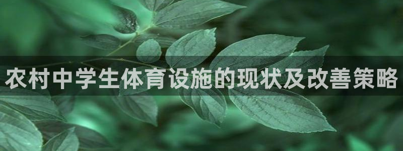 意昂体育3招商电话是多少号码：农村中学生体育设施的现