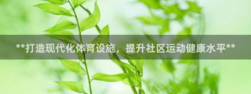 意昂3娱乐下载：**打造现代化体育设施，提升社区运动